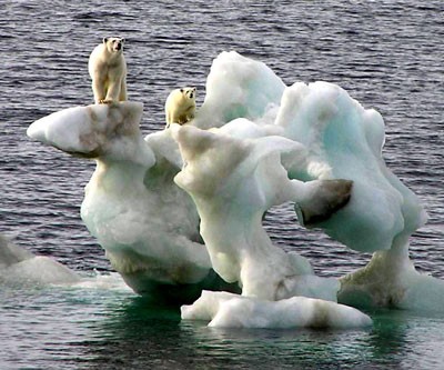 Băng ở Bắc Cực giảm xuống mức thấp kỷ lục  - ảnh 1